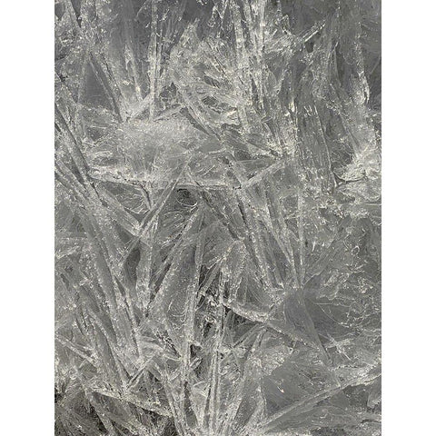 Ice I Black Modern Wood Framed Art Print by Grayscale