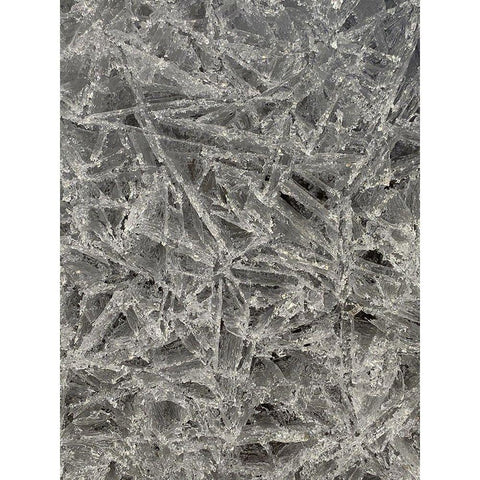 Ice II White Modern Wood Framed Art Print by Grayscale