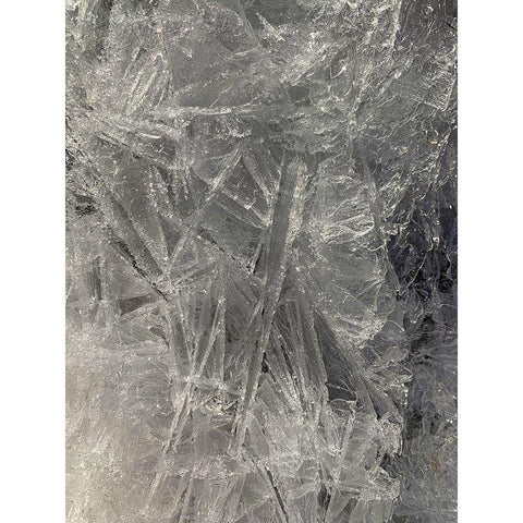 Ice III White Modern Wood Framed Art Print by Grayscale