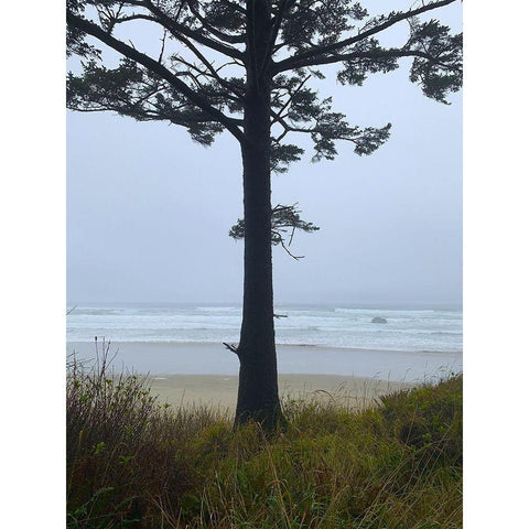 Costal Tree View I Black Modern Wood Framed Art Print by Grayscale