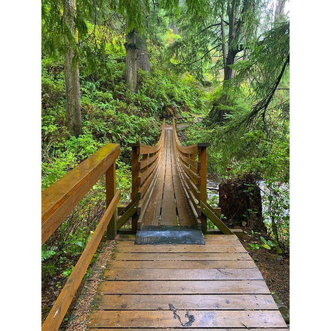 Forest Bridge IV Black Modern Wood Framed Art Print with Double Matting by Grayscale