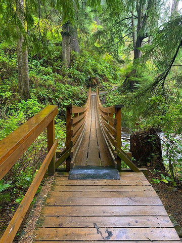 Forest Bridge IV White Modern Wood Framed Art Print with Double Matting by Grayscale