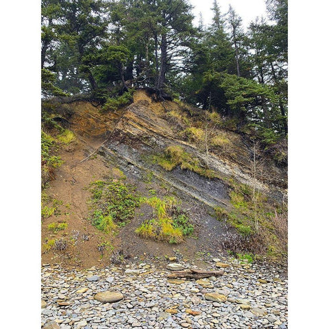 Eroded Coast I White Modern Wood Framed Art Print by Grayscale