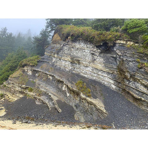 Eroded Coast II Gold Ornate Wood Framed Art Print with Double Matting by Grayscale