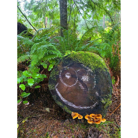 Forest Happy Face I Gold Ornate Wood Framed Art Print with Double Matting by Grayscale