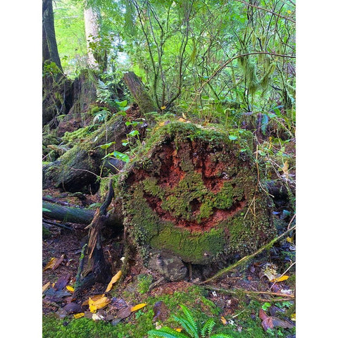 Forest Happy Face II Black Modern Wood Framed Art Print by Grayscale