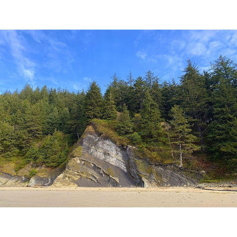 Eroded Coast III White Modern Wood Framed Art Print by Grayscale