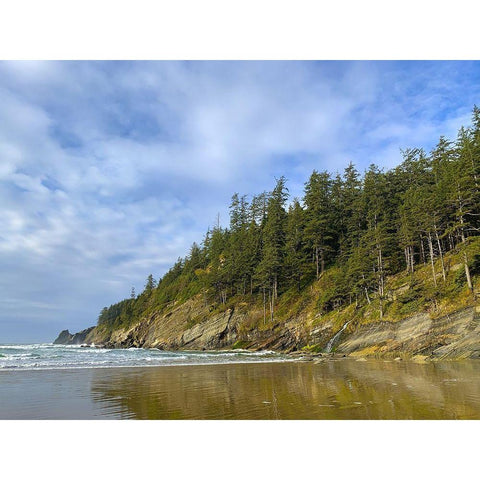 Eroded Coast IV Gold Ornate Wood Framed Art Print with Double Matting by Grayscale