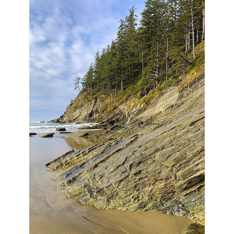 Eroded Coast V Black Modern Wood Framed Art Print by Grayscale