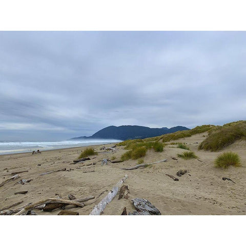 Beach Scene I White Modern Wood Framed Art Print by Grayscale