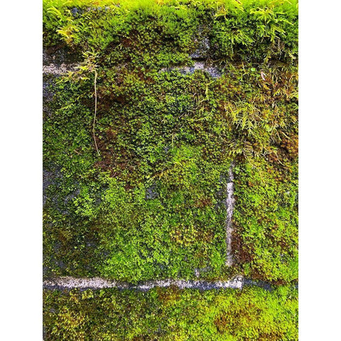 Stone Wall I Black Modern Wood Framed Art Print with Double Matting by Grayscale