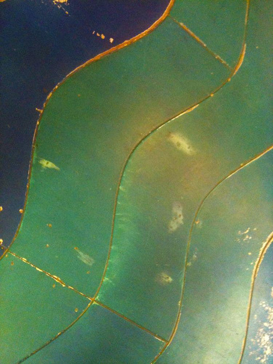 Image Only