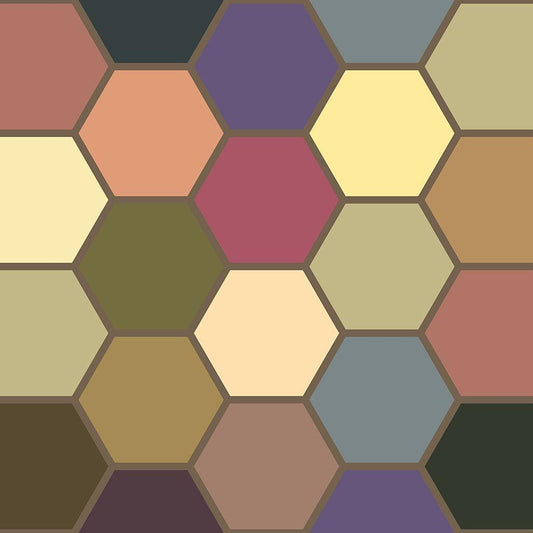 Image Only