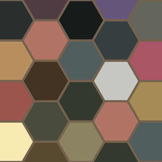 Image Only