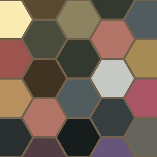 Image Only