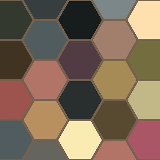 Image Only
