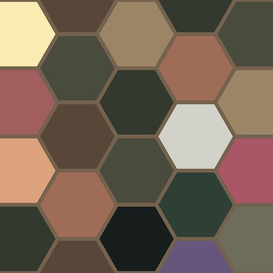 Image Only