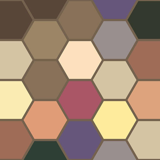 Image Only