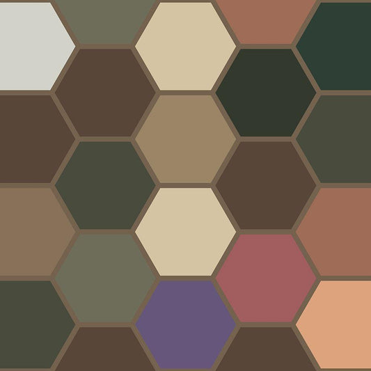 Image Only