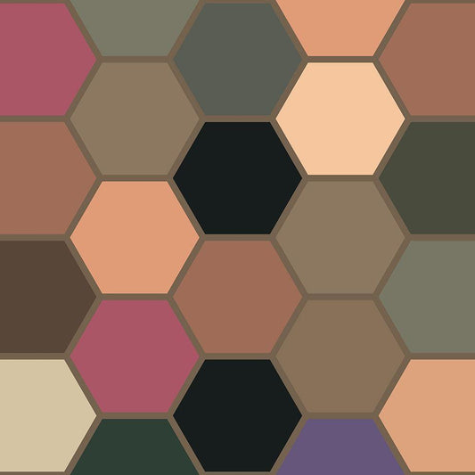Image Only