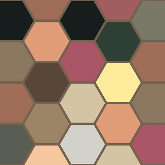 Image Only