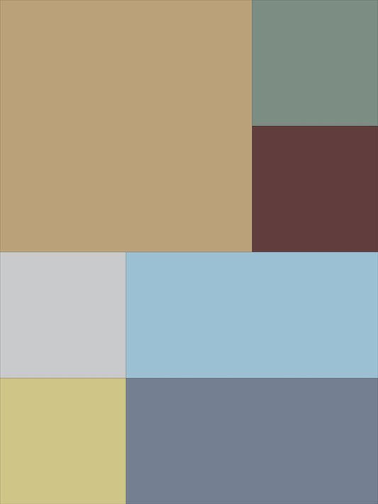 Image Only