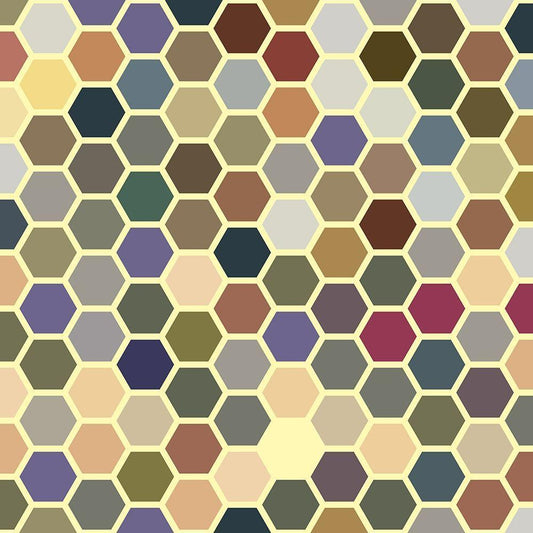 Image Only