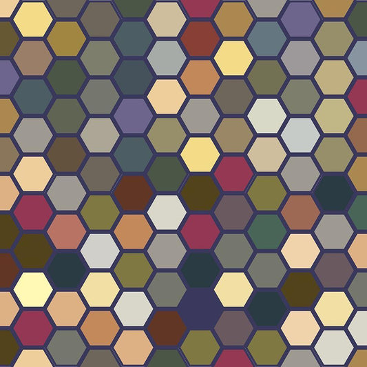 Image Only