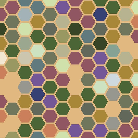 Image Only