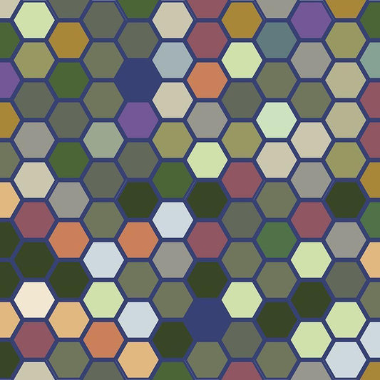Image Only