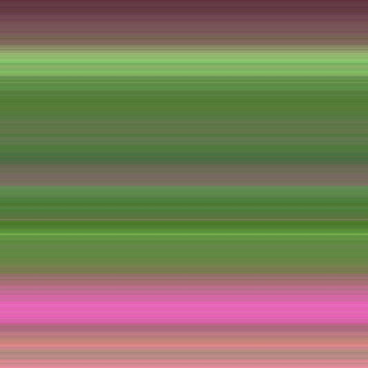 Image Only