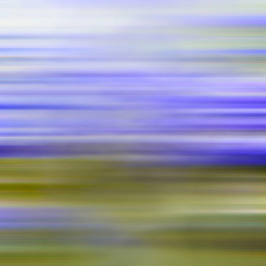 Image Only