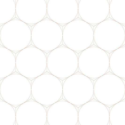 Image Only