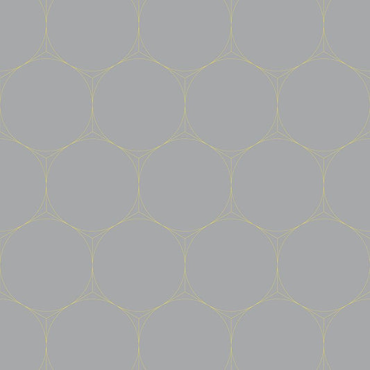 Image Only