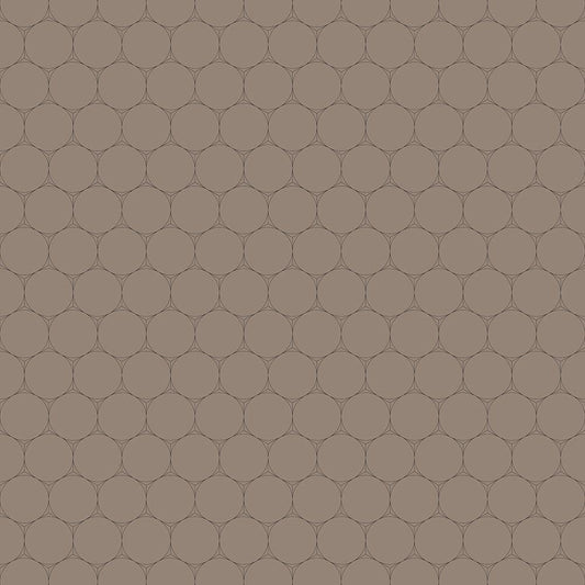 Image Only