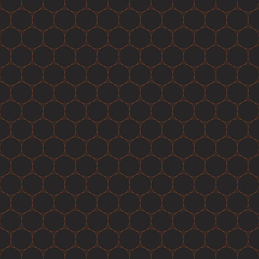 Image Only