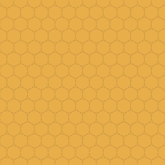 Image Only