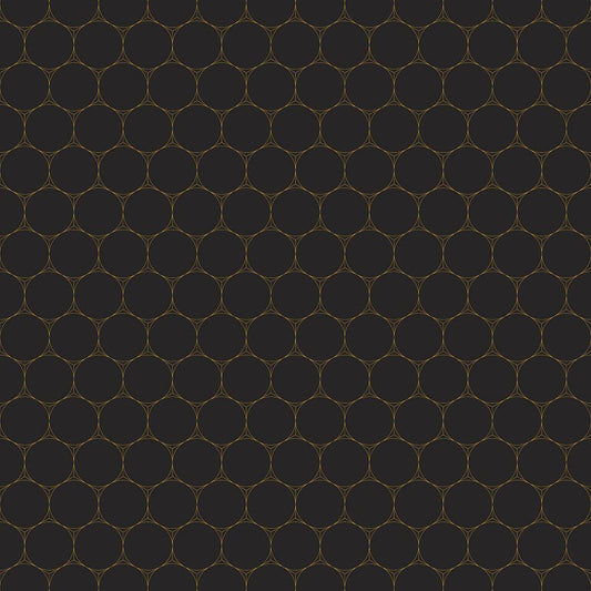 Image Only