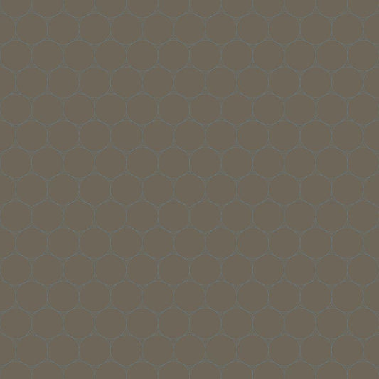 Image Only