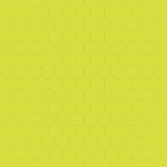 Image Only
