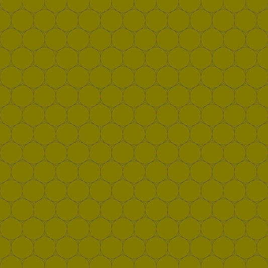 Image Only