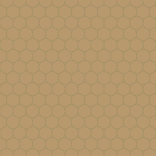 Image Only