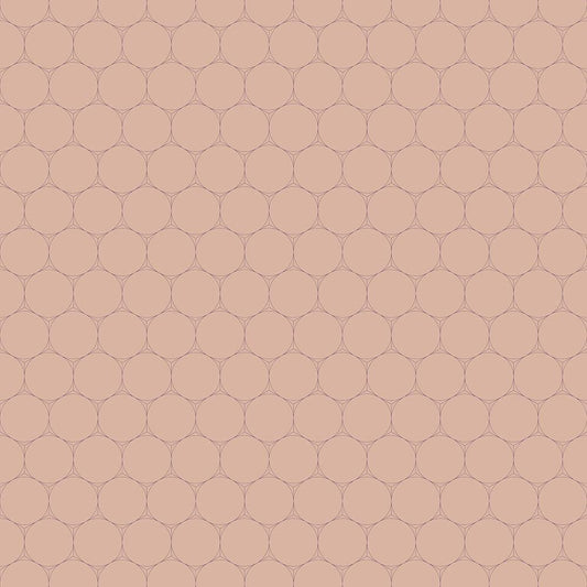Image Only
