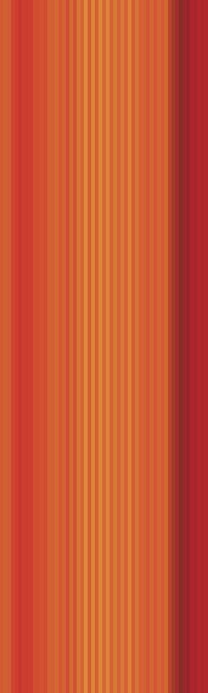 Image Only