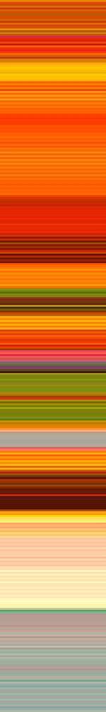 Image Only
