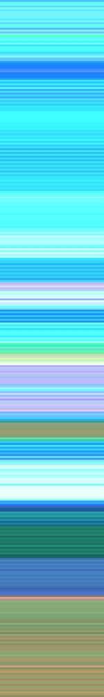 Image Only
