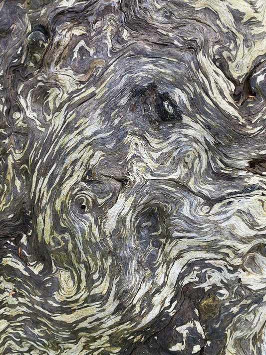 Image Only