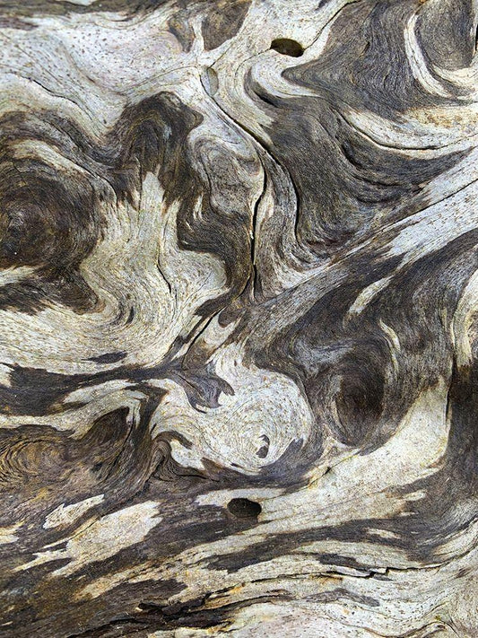 Image Only