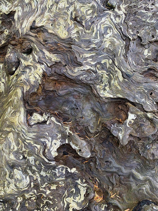 Image Only