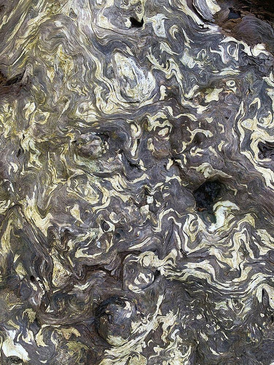 Image Only